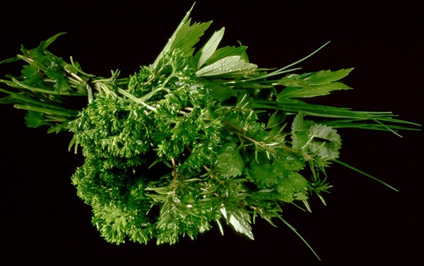 Herb bouquet
