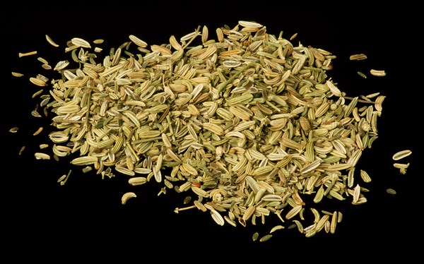 Fennel