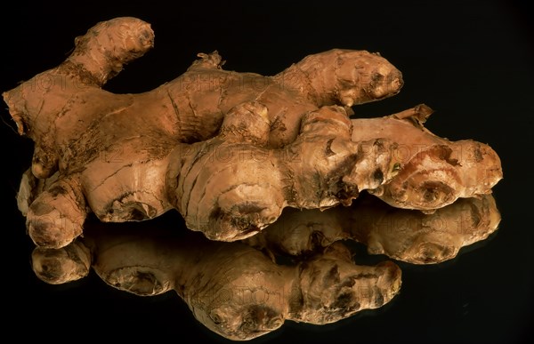 Fresh ginger