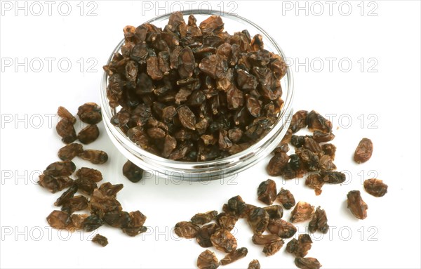 Berberis vulgaris.dried berries of the barberry