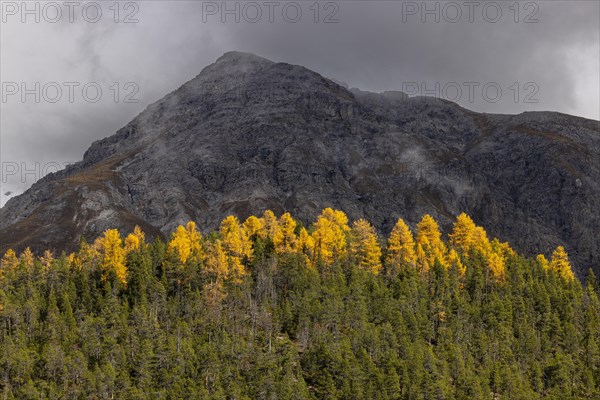 Autumn colours