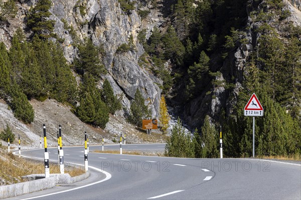 Access road to the Swiss National Park