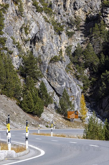 Access road to the Swiss National Park