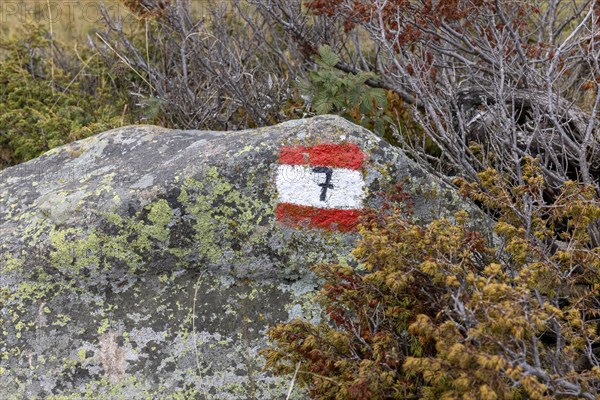 Hiking trail marker