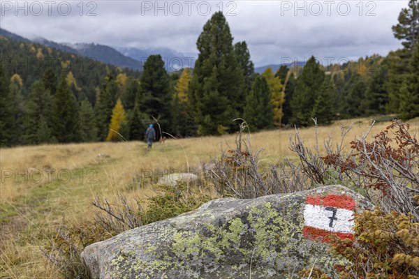 Hiking trail marker