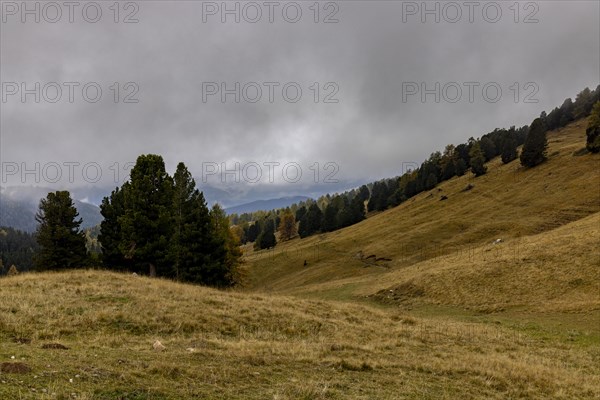 Fog and autumn colours