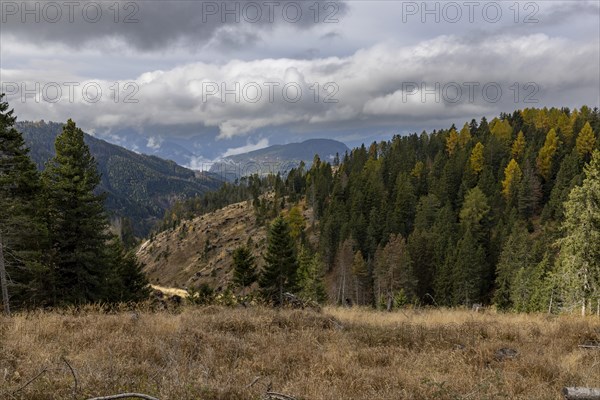 View of the valley with storm damage