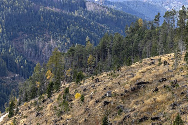 View of the valley with storm damage