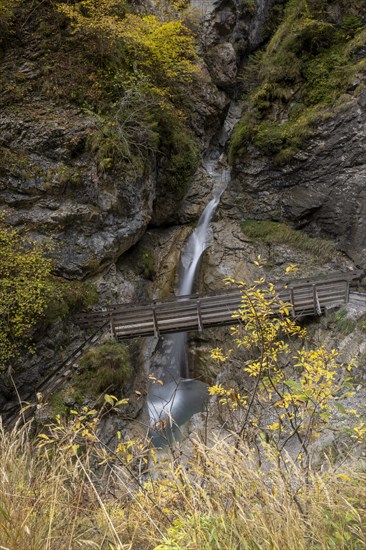 Wooden footbridge