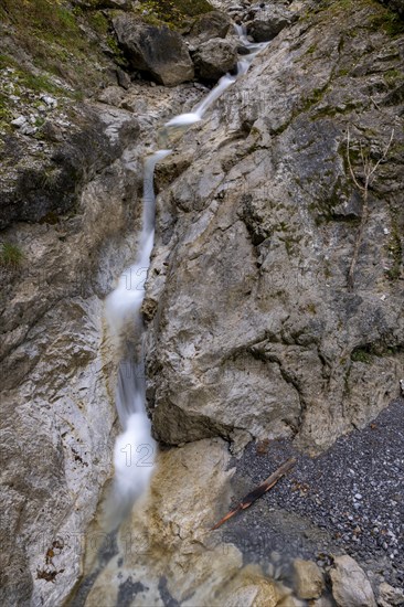 Rose garden Gorge