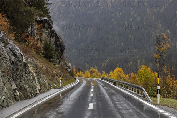 Rainy wet road in autumn