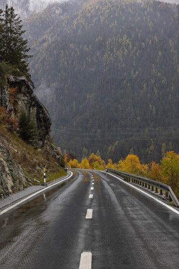 Rainy wet road in autumn