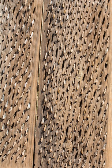 An old traditional threshing sled in the view