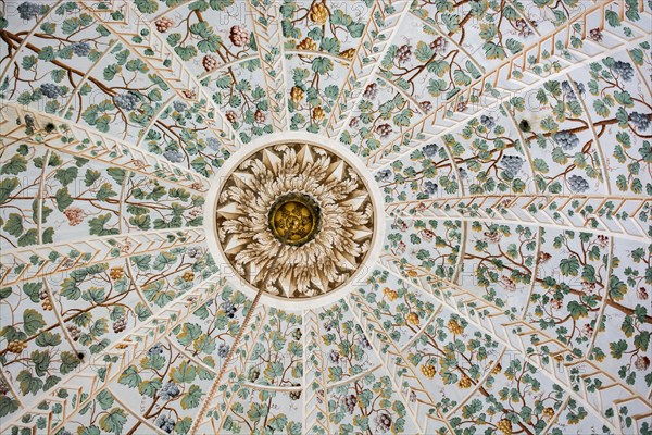 Floral art pattern example of the Ottoman time