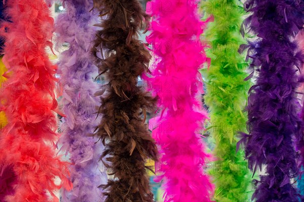 Beautiful bird feathers for decorative purposes