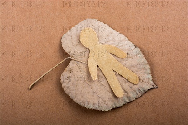 Paper man shape placed on a dry leaf in view