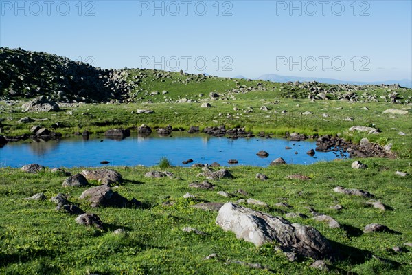 Highland lake in green natural background in Artvin province of Turkey