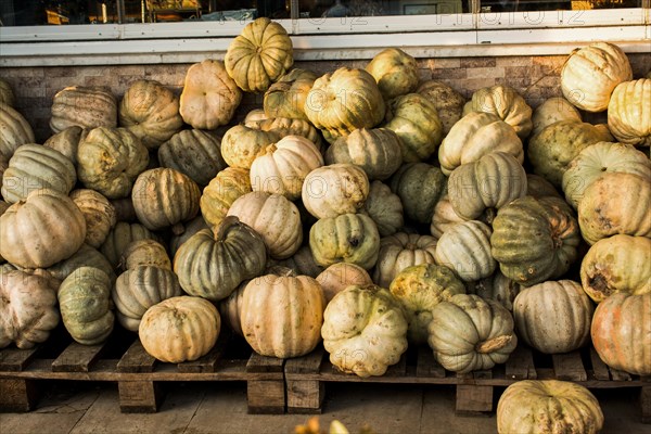 Pumpkins piled up waiting to be used for eating