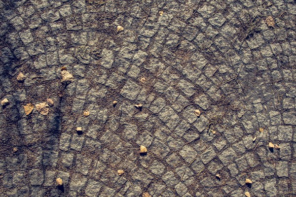 Cobblestone stone pavement background texture on the street