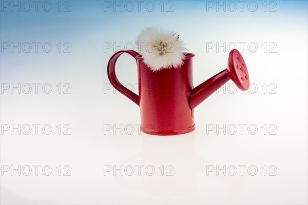 Little red model watering can with flower on top it