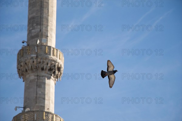 Twin pigeons in air by the side of a minaret