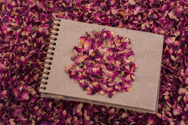Dry rose petals placed on a spiral notebook
