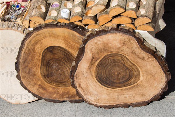 Small piece of cut wood logs used for wood texture background