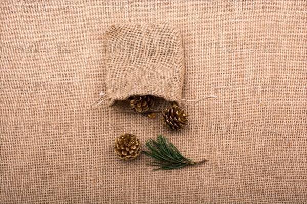 Pine cones out of sack on a canvas background