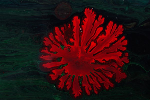 Ebru marbling handmade art