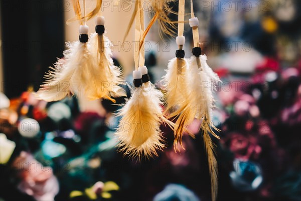 Beautiful colorful bird feathers for decorative purposes