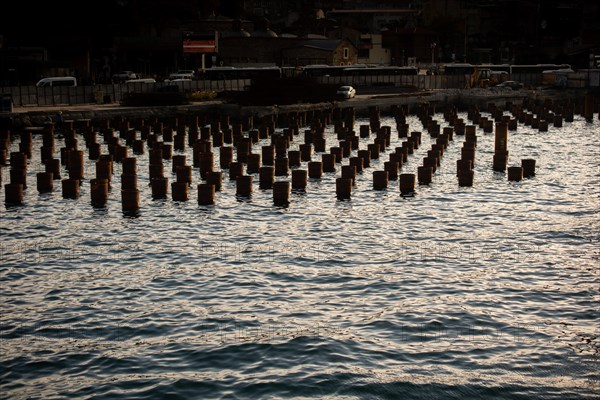 Rusty iron pipes in the sea forming a foundation on display