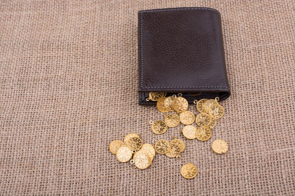 Wallet and plenty of fake gold coins on canvas