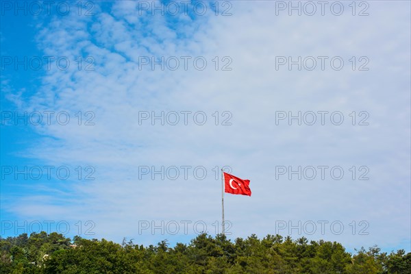 Turkish national flag hang on a pole among the trees