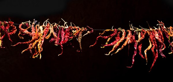 Dry red pepper found on the market stand