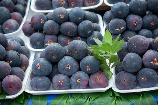 Ripe fig fruits seen in the market place