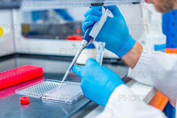 Close-up photo of the hands of a scientist pipetting medical samples into microplate in laboratory