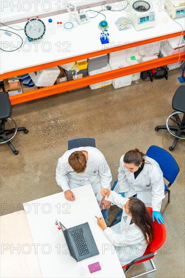 Vertical photo with top view of a team of biologist working with samples using laptop