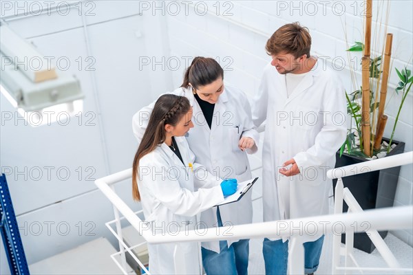 Top view of three scientists talking and working standing on stairs of a cancer research laboratory