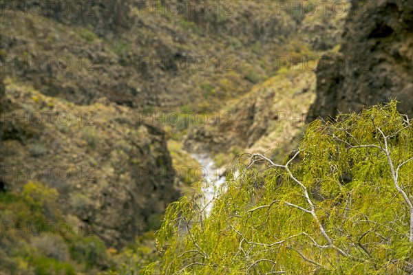 Barranco del Infierno