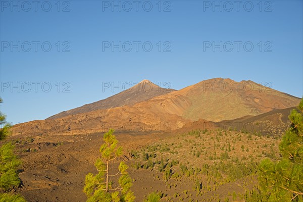 Panorama from Mirador de Chio to Pico de Teide