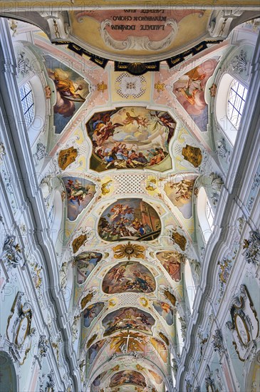 Ceiling frescoes