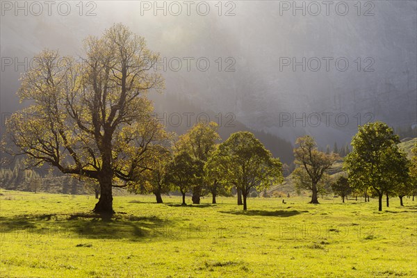 Autumn atmosphere in the Engtal