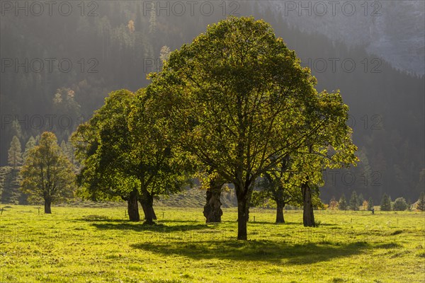 Autumn atmosphere in the Engtal