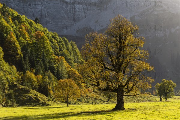 Autumn atmosphere in the Engtal