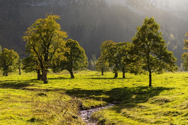 Autumn atmosphere in the Engtal