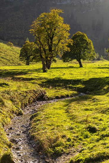 Autumn atmosphere in the Engtal