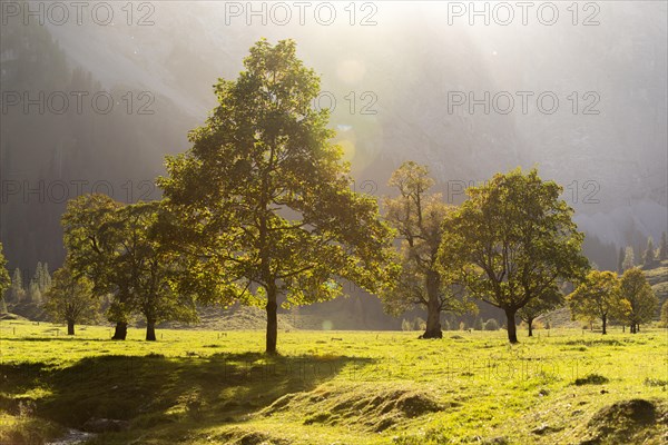 Autumn atmosphere in the Engtal