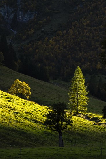 Autumn atmosphere in the Engtal