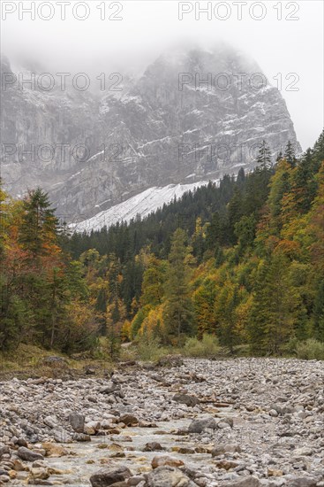 Fog in the Karwendel nature park Park