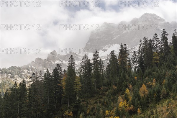 Wafts of mist in the Karwendel nature park Park